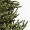 6′ Alberta Spruce Christmas Tree w/300 Warm White Dura-lit LED